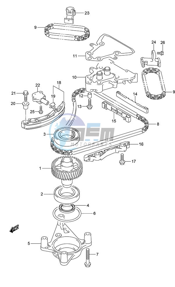 Timing Chain (DF 250S)