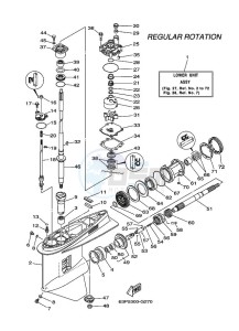 F150BETX drawing PROPELLER-HOUSING-AND-TRANSMISSION-1