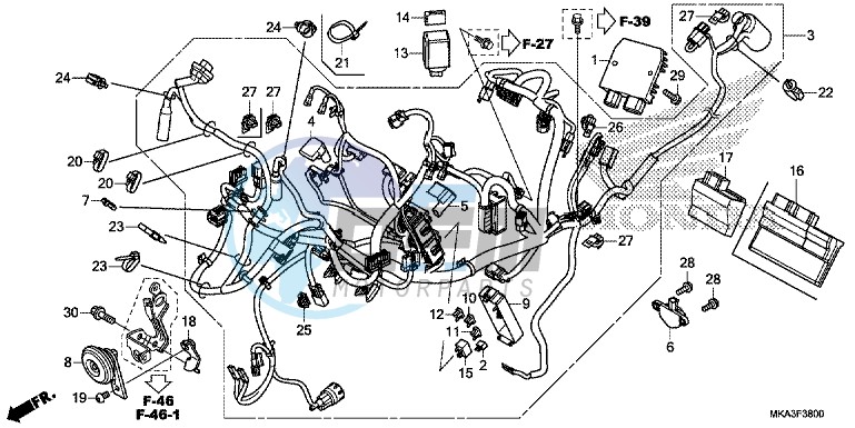 WIRE HARNESS