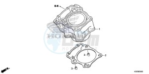 CBR300RF CBR300R Europe Direct - (ED) drawing CYLINDER