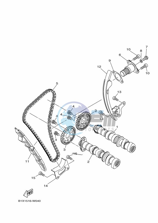 CAMSHAFT & CHAIN