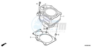 TRX500FED TRX500FE Europe Direct - (ED) drawing CYLINDER