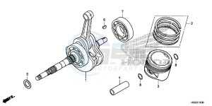 TRX250TEG TRX250T Europe Direct - (ED) drawing CRANKSHAFT/PISTON