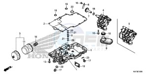 CRF1000AG CRF1000 - Africa Twin - ABS Europe Direct - (ED) drawing OIL PAN/OIL PUMP