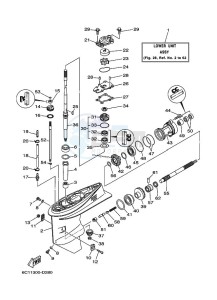 F50TLRD drawing LOWER-CASING-x-DRIVE-1