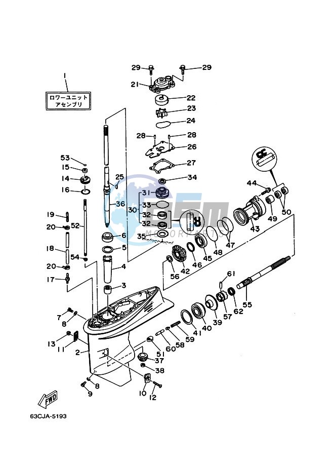 LOWER-CASING-x-DRIVE