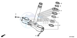 CBR1000S1 2ED - (2ED) drawing STEERING STEM