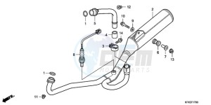 VTR2509 Europe Direct - (ED / LL) drawing EXHAUST MUFFLER