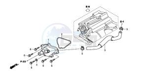 TRX420FM FOURTRAX drawing WATER PUMP COVER