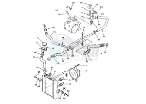 YP MAJESTY 250 drawing RADIATOR-HOSE