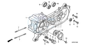 SCV100F9 Australia - (U) drawing LEFT CRANKCASE