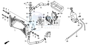 CBR600SE drawing RADIATOR (CBR600FS/3S/T/3T/SET)