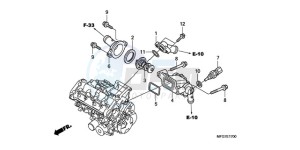 CB600F9 France - (F / CMF) drawing THERMOSTAT