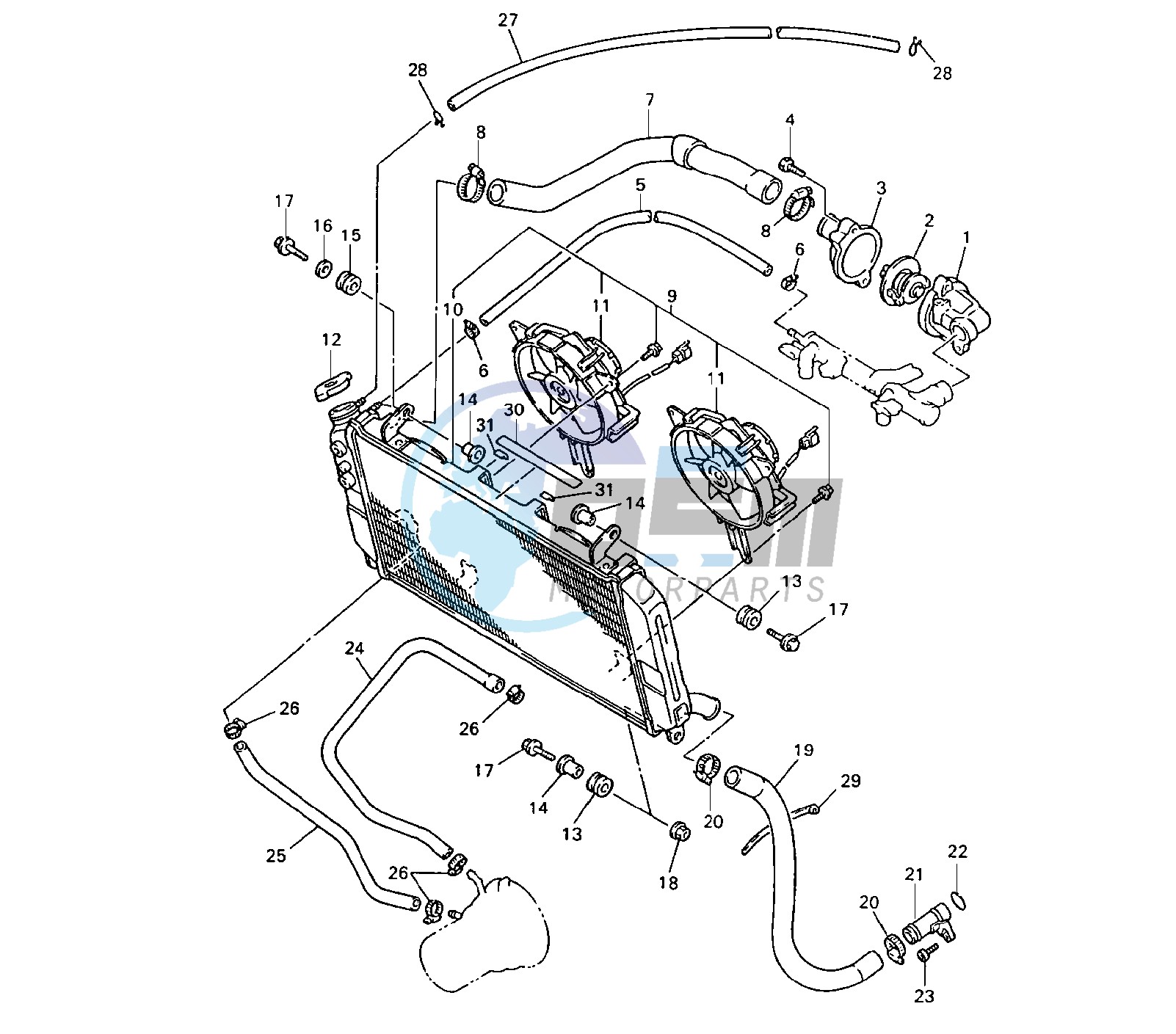 RADIATOR AND HOSE