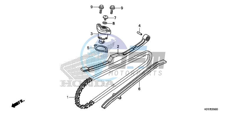 CAM CHAIN/ TENSIONER