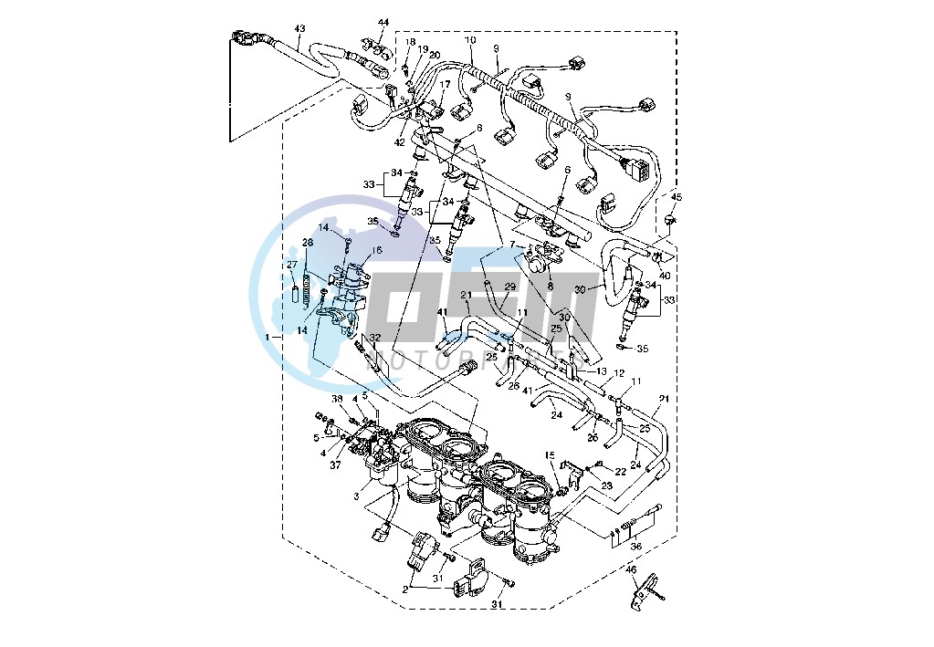 INJECTION SYSTEM