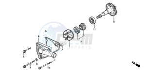 NSR125R drawing WATER PUMP