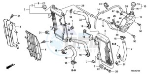 CRF250X9 Australia - (U) drawing RADIATOR