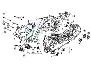 FIDDLE - 50 cc drawing CRANKCASE