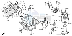 CBR600RAD CBR600RR ABS UK - (E) drawing OIL PAN/OIL PUMP