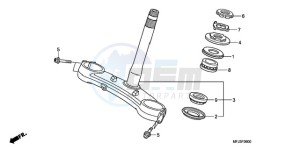 CBR600RR9 BR / MME SPC - (BR / MME SPC) drawing STEERING STEM