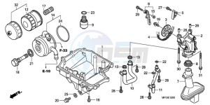 CB600FAA France - (F / ABS CMF) drawing OIL PAN/OIL PUMP