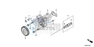 CRF250LD CRF250L UK - (E) drawing OIL PUMP