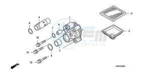 TRX420FEA Australia - (U / 4WD) drawing OIL PUMP