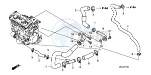 CBF1000TA France - (F / ABS CMF) drawing WATER PIPE