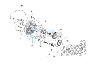 SCARABEO 50 2T CARBURATORE E4 CLASSIC (EMEA) drawing Driven pulley shaft