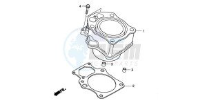 TRX420TM FOURTRAX drawing CYLINDER