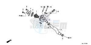 NC750DE Integra - NC750D Europe Direct - (ED) drawing THERMOSTAT