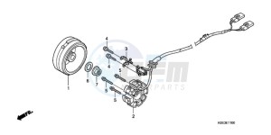 CRF150R9 Europe Direct - (ED / 2ED) drawing GENERATOR