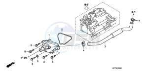 TRX420FAA Europe Direct - (ED) drawing WATER PUMP COVER