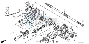 TRX500FA9 Australia - (U) drawing FINAL DRIVEN GEAR