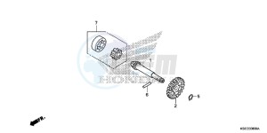 CRF150RBE CRF150RB Europe Direct - (ED) drawing OIL PUMP