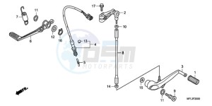 CBR1000RR9 France - (F / MME) drawing PEDAL