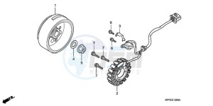 CBR125RW9 U / WH drawing GENERATOR