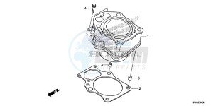 TRX420TED TRX420 Europe Direct - (ED) drawing CYLINDER