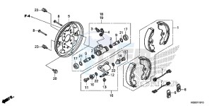 TRX250TEH Europe Direct - (ED) drawing FRONT BRAKE PANEL