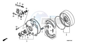 TRX250XA Australia - (U) drawing REAR BRAKE DRUM