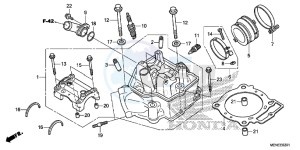 CRF450RG CRF450R Europe Direct - (ED) drawing CYLINDER HEAD (F/G)