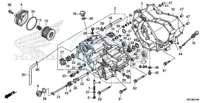 TRX420FA6F TRX420F Australia - (U) drawing FRONT CRANKCASE COVER