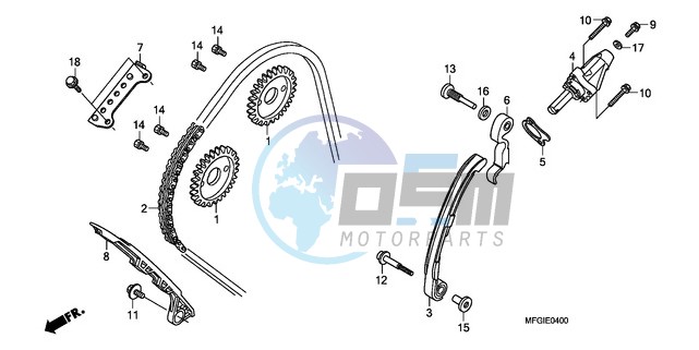 CAM CHAIN/TENSIONER