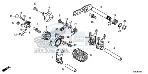 CRF250R Europe Direct - (ED) drawing GEARSHIFT DRUM