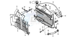 CR250R drawing RADIATOR