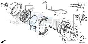 TRX420FM1E TRX420 Europe Direct - (ED) drawing REAR BRAKE PANEL