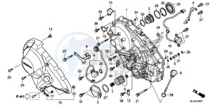 NC750XDE NC750XD Europe Direct - (ED) drawing RIGHT CRANKCASE COVER (NC700XD/ 750XD)