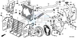 TRX500FE1G TRX500 Europe Direct - (ED) drawing RADIATOR