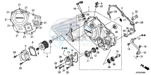 CRF250LAH CRF250LA ED drawing RIGHT CRANKCASE COVER